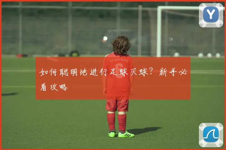 如何聪明地进行足球买球？新手必看攻略